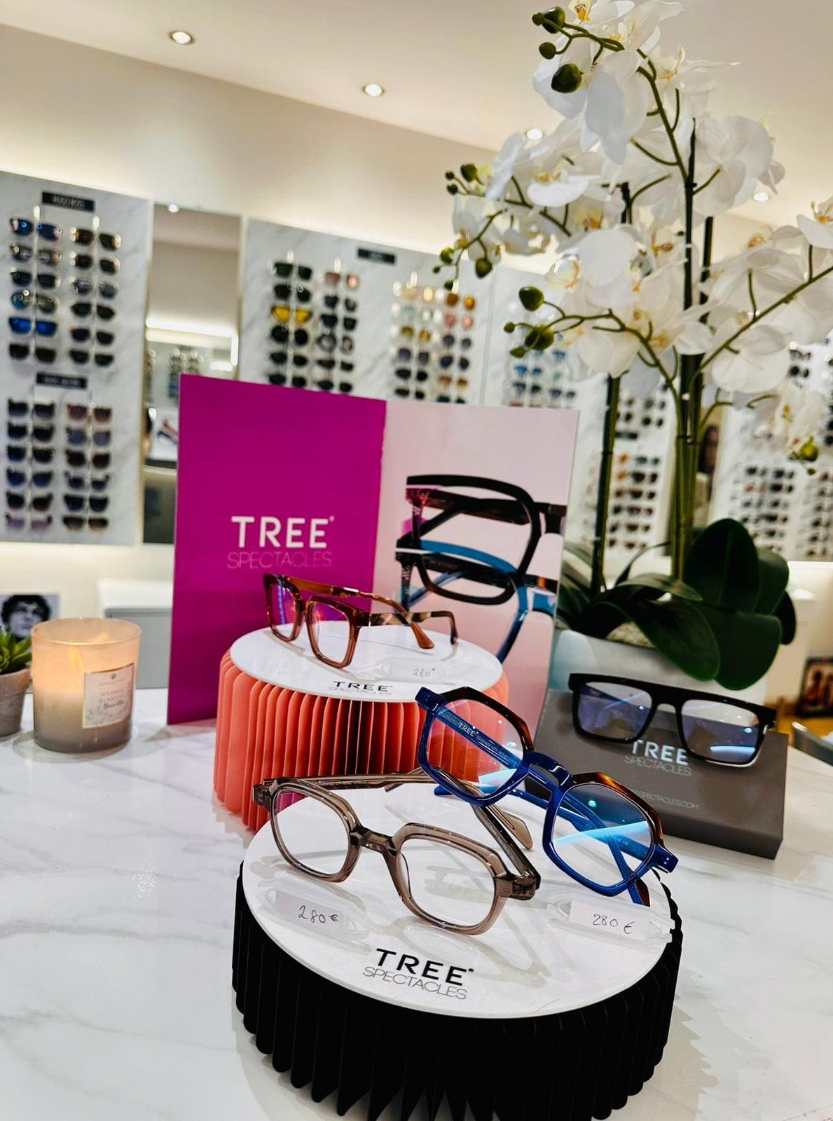 tree-spectacles